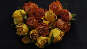 air travel disruptions Africa – Travel And Tour World – afric.news