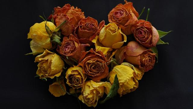 air travel disruptions Africa – Travel And Tour World – afric.news