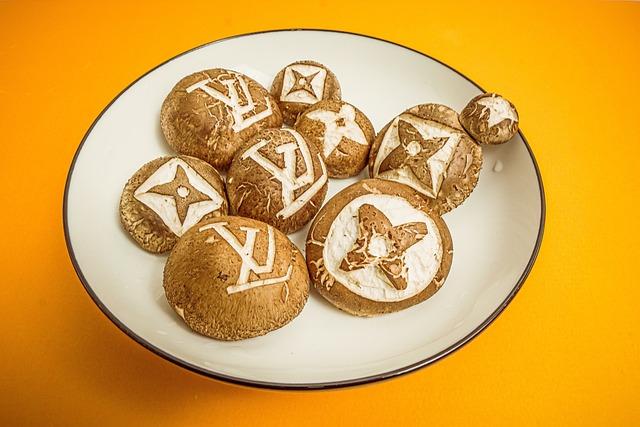 Avignon Dazzles as the Spectacular New Venue for Louis Vuitton’s Cruise 2026 Show – news-france.info