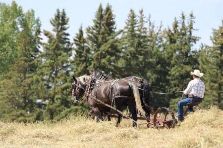 Italy Stuns Team USA, Shattering Their World Baseball Classic Dreams – www.mondialnews.com